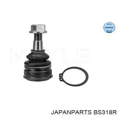 Comprar BS318R Japan Parts Brazo superior derecho de la suspensión delantera