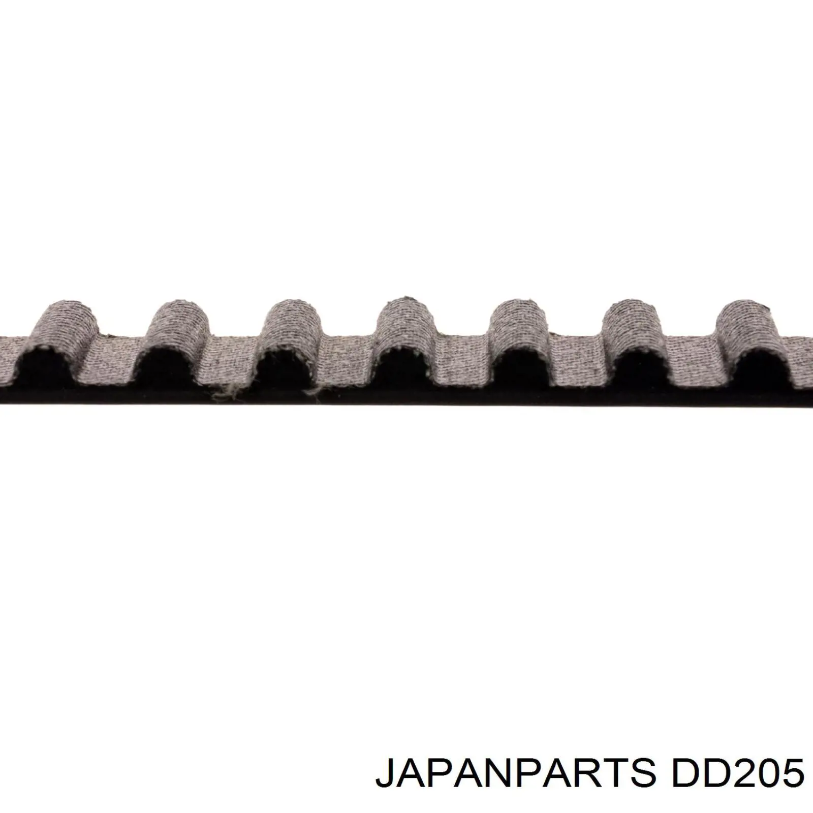 DD205 Japan Parts correa distribucion