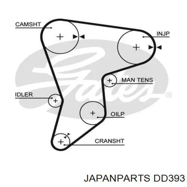 Correa de distribución Japan Parts DD393 precio, desde 22,36 EUR