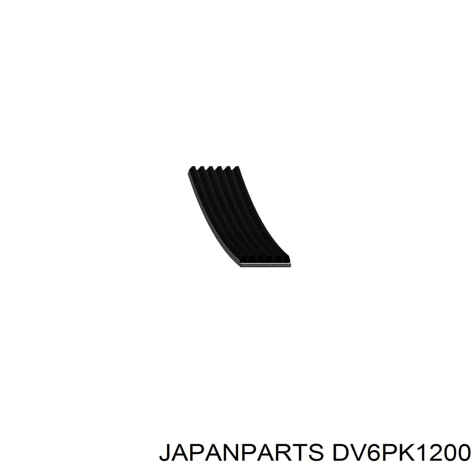 DV6PK1200 Japan Parts correa trapezoidal