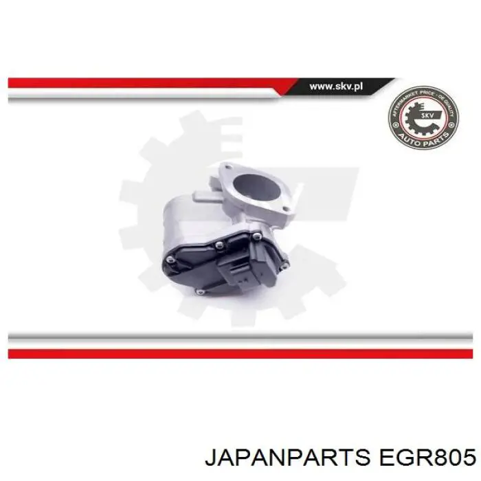 Comprar EGR805 Japan Parts Válvula EGR