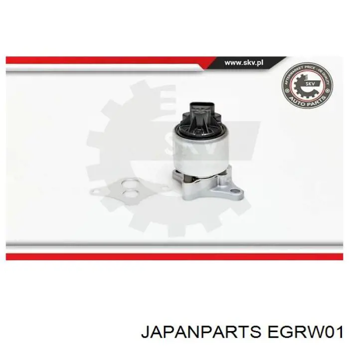 EGR-W01 Japan Parts válvula, agr