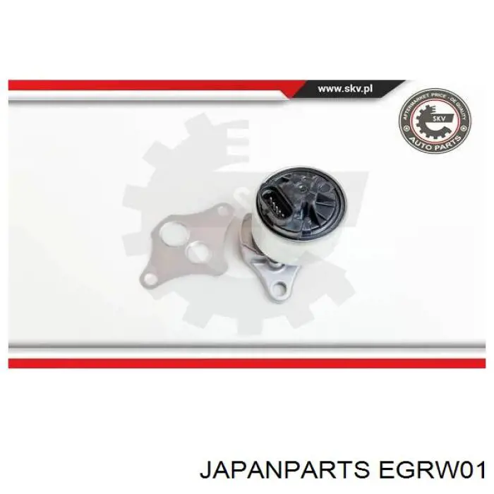 Comprar EGRW01 Japan Parts Válvula EGR