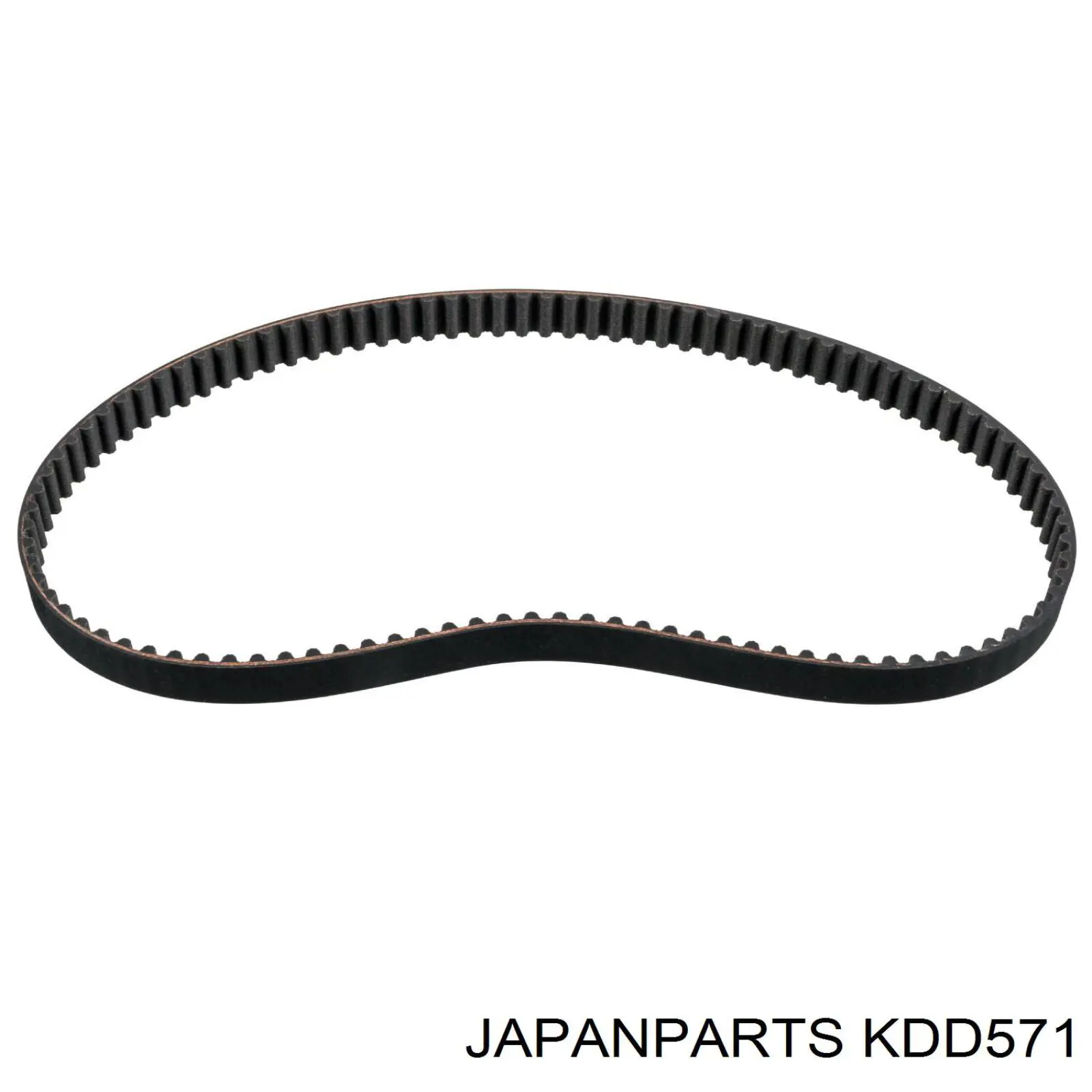 KDD571 Japan Parts kit de correa de distribución