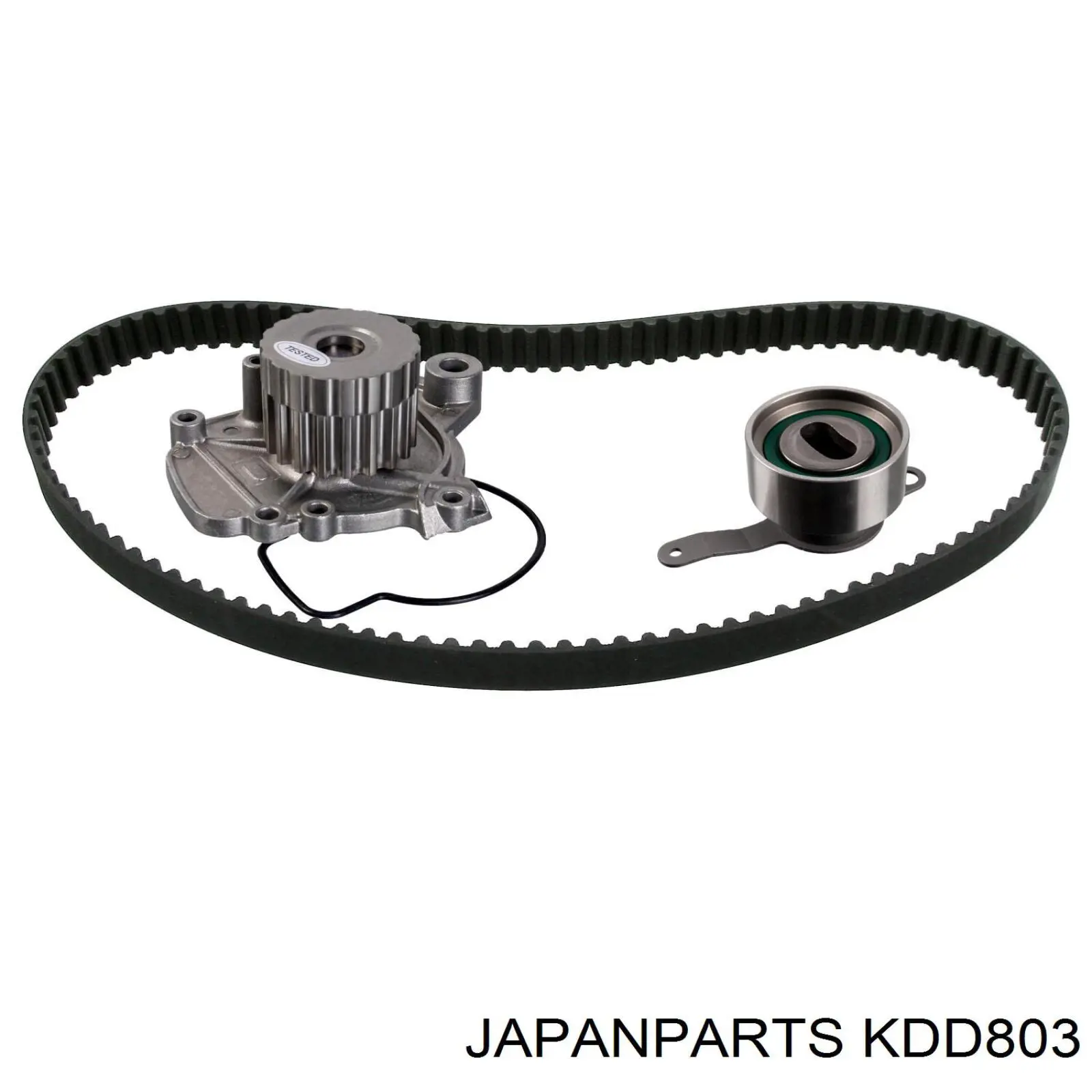 Kit distribución Continental/Siemens CT824K1
