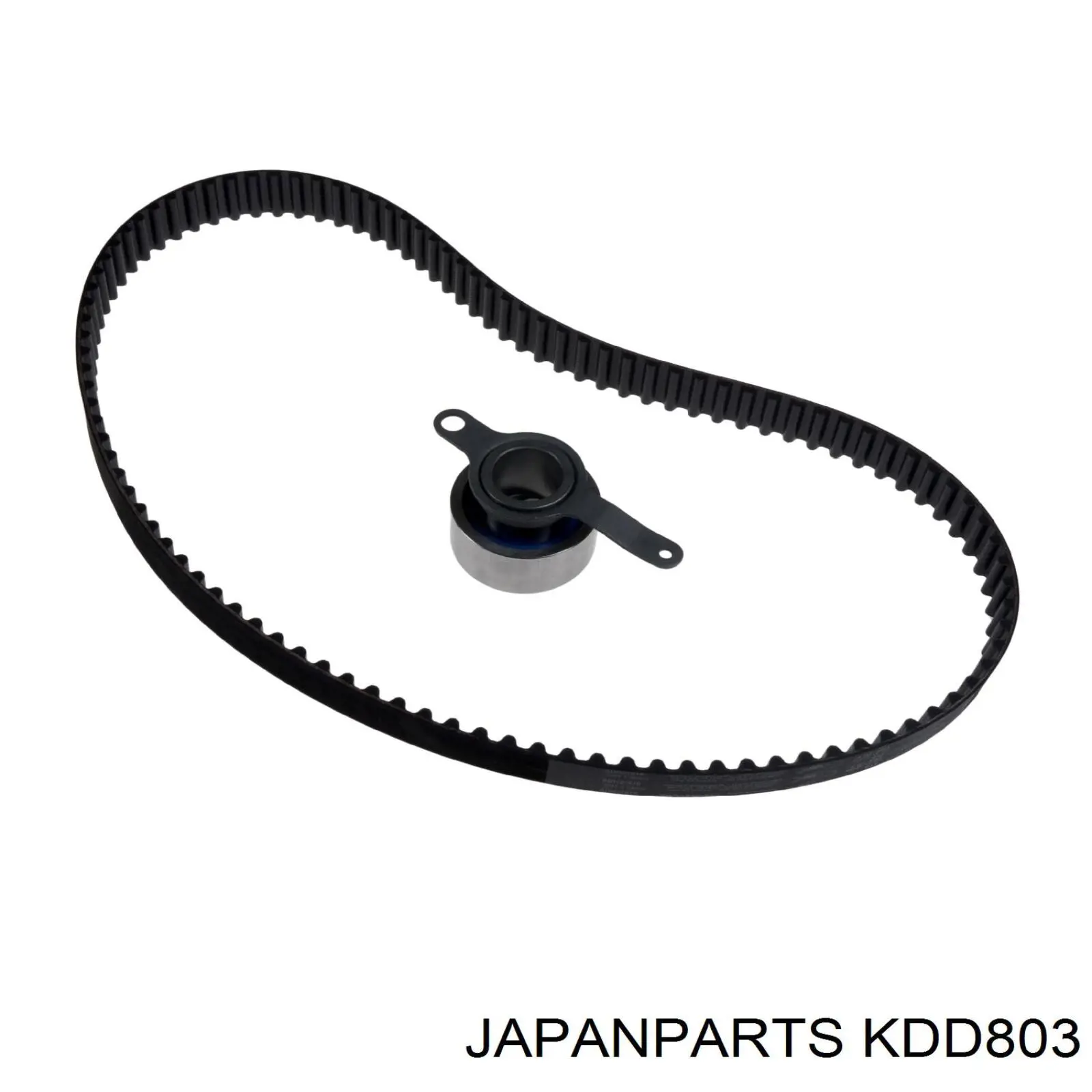 CT824K1 Continental/Siemens Kit correa de distribución