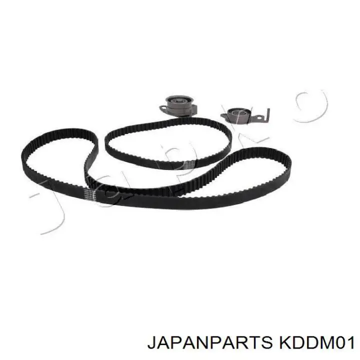 KDDM01 Japan Parts correa distribucion
