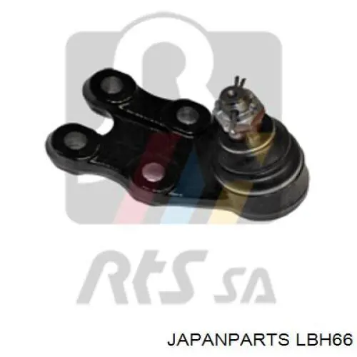 Rótula inferior de suspensión LBH66 Japan Parts