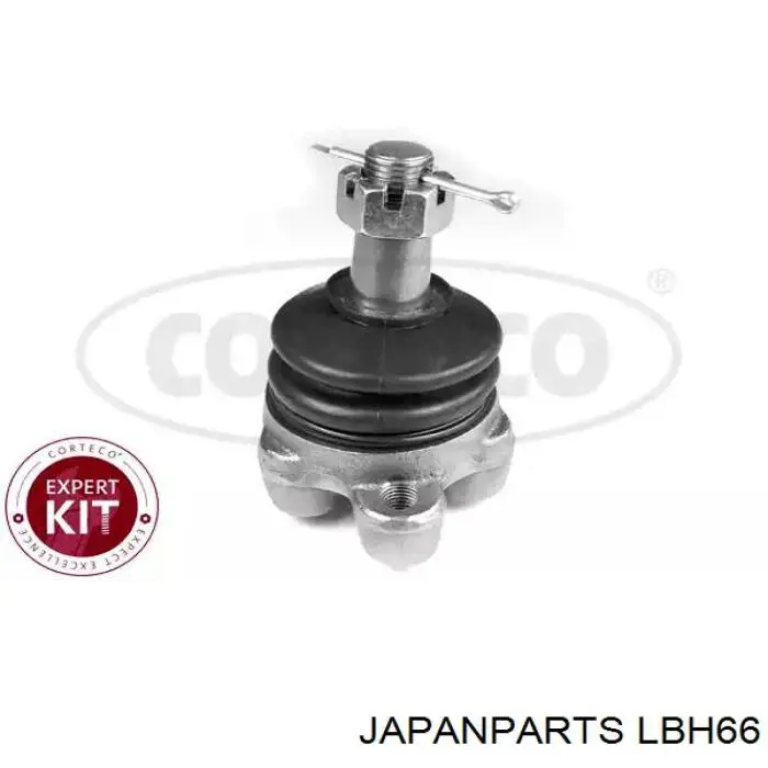 Rótula inferior de suspensión Japan Parts LBH66