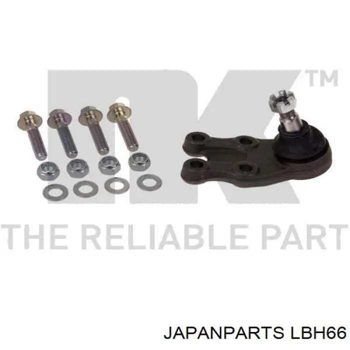 LB-H66 Japan Parts rótula de suspensión inferior