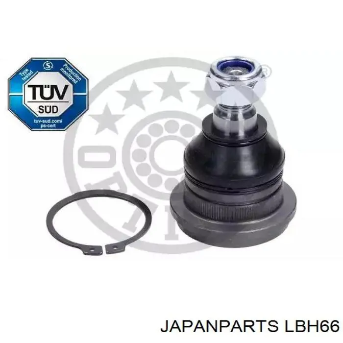Comprar LBH66 Japan Parts Rótula inferior de suspensión