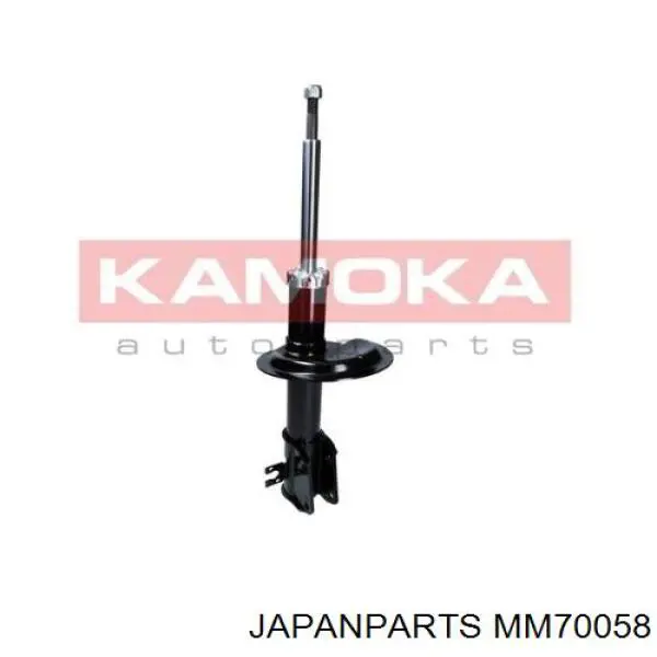Amortiguador trasero RS340057 Raiso