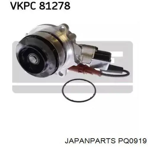 Bomba de agua PQ0919 Japan Parts