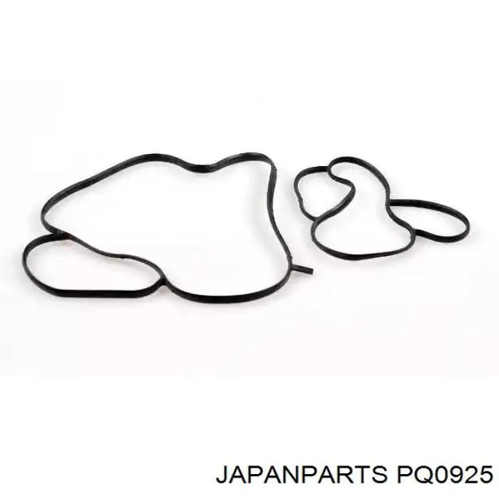 Bombeadora de agua Japan Parts PQ0925 precio, desde 66,67 EUR