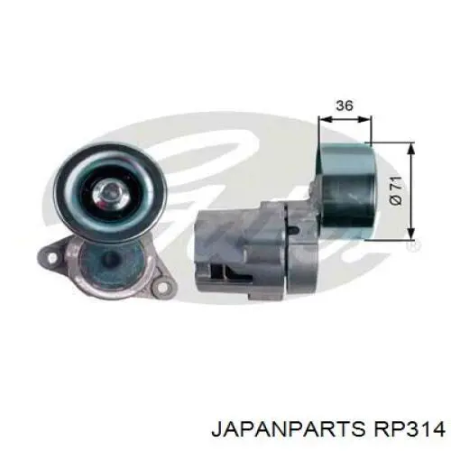 RP-314 Japan Parts rodillo, correa trapecial poli v