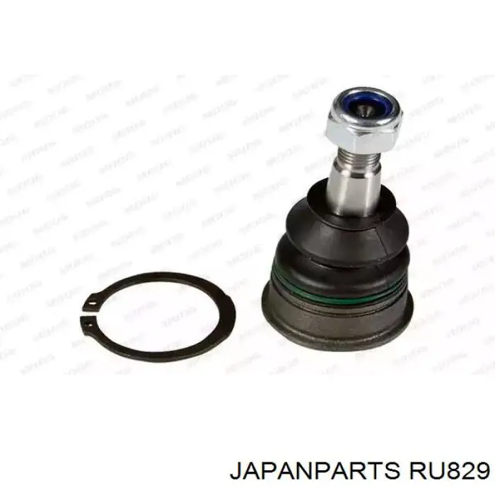Silentblock del brazo de suspensión RU829 Japan Parts