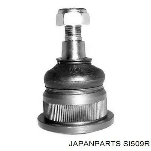 Bieleta estabilizadora delantera derecha Japan Parts SI509R precio, desde 22,03 EUR