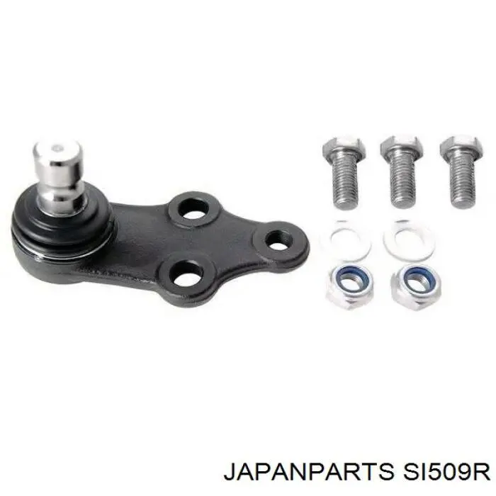 Comprar SI509R Japan Parts Bieleta estabilizadora delantera derecha