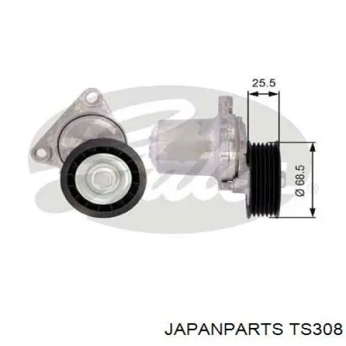 TS-308 Japan Parts tensor de correa, correa poli v