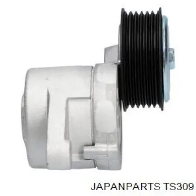 TS309 Japan Parts tensor de correa, correa poli v