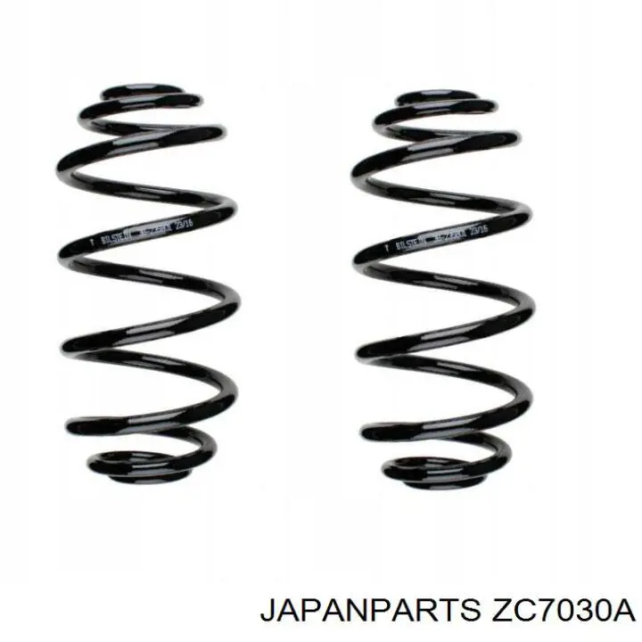 Muelle de suspensión trasero Japan Parts ZC7030A precio, desde 32,06 EUR