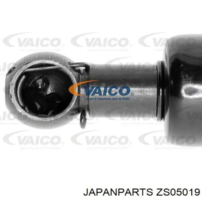 Amortiguador maletero ZSA05019 Ashika