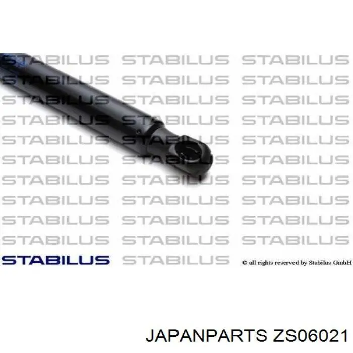 ZS06021 Japan Parts amortiguador maletero