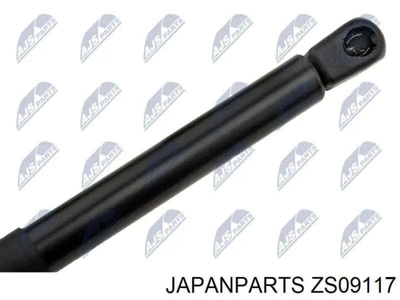 ZS09117 Japan Parts amortiguador maletero