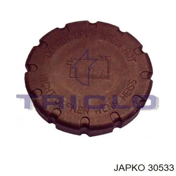 30533 Japko filtro combustible