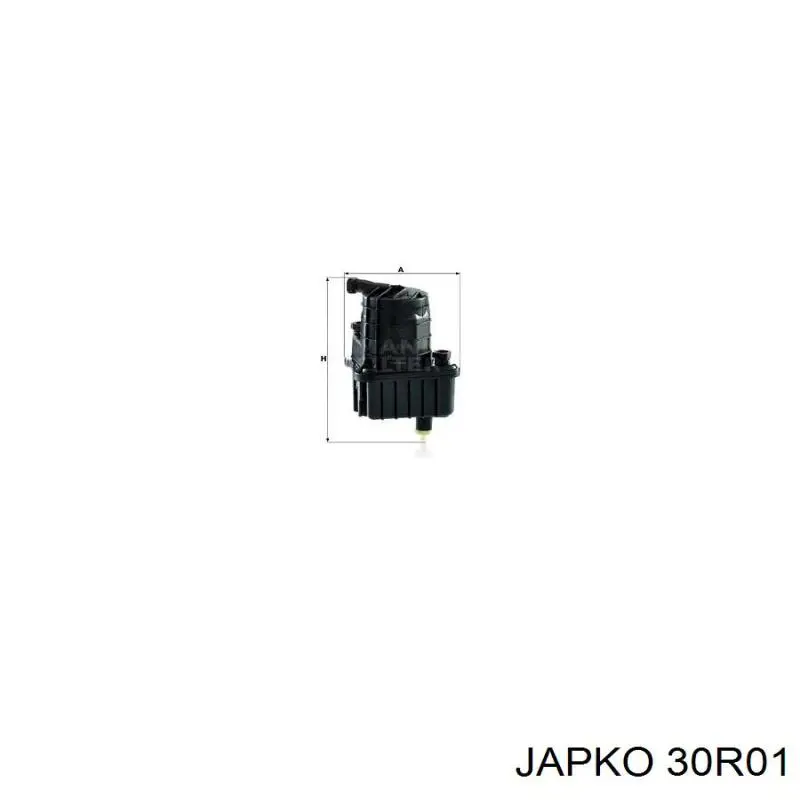 30R01 Japko filtro combustible