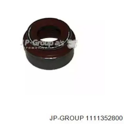 1111352800 JP Group sello de aceite de valvula (rascador de aceite Entrada/Salida)