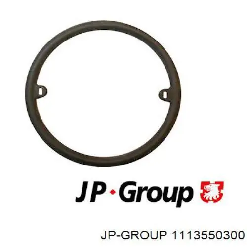 1113550300 JP Group junta de radiador de aceite