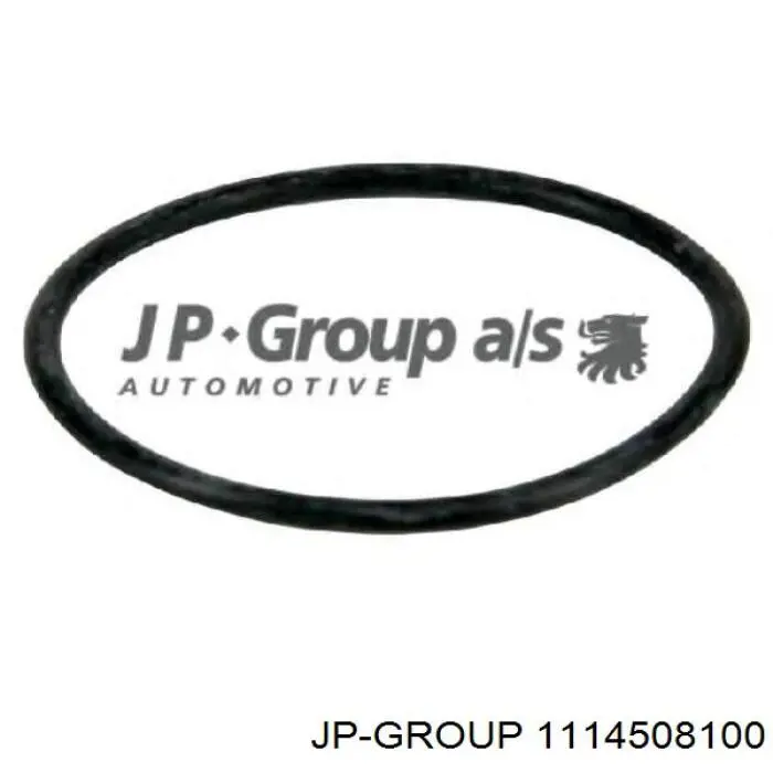 1114508100 JP Group caja del termostato