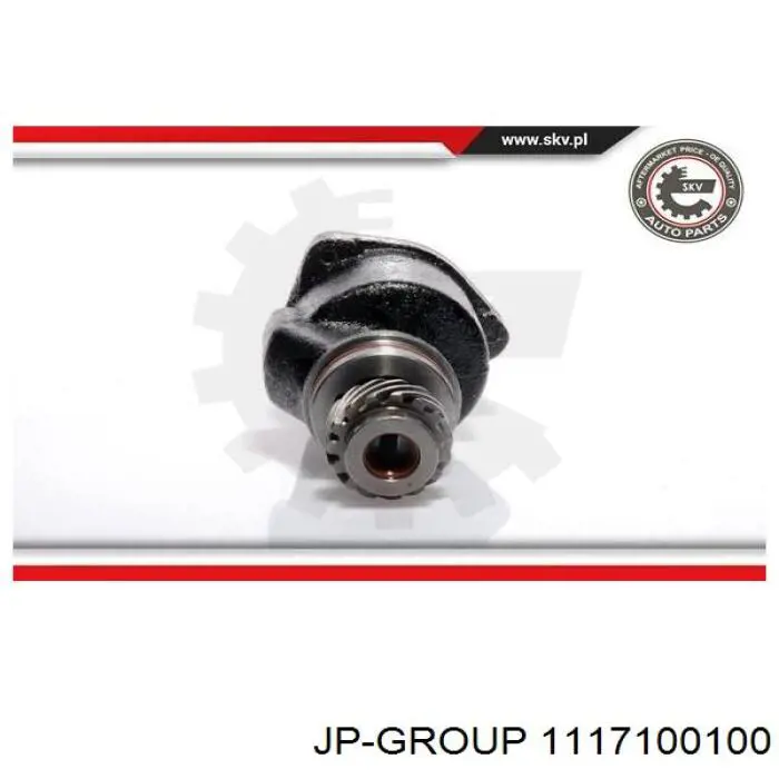 Bomba de vacío del sistema de frenado JP Group 1117100100 precio, desde 111,77 EUR