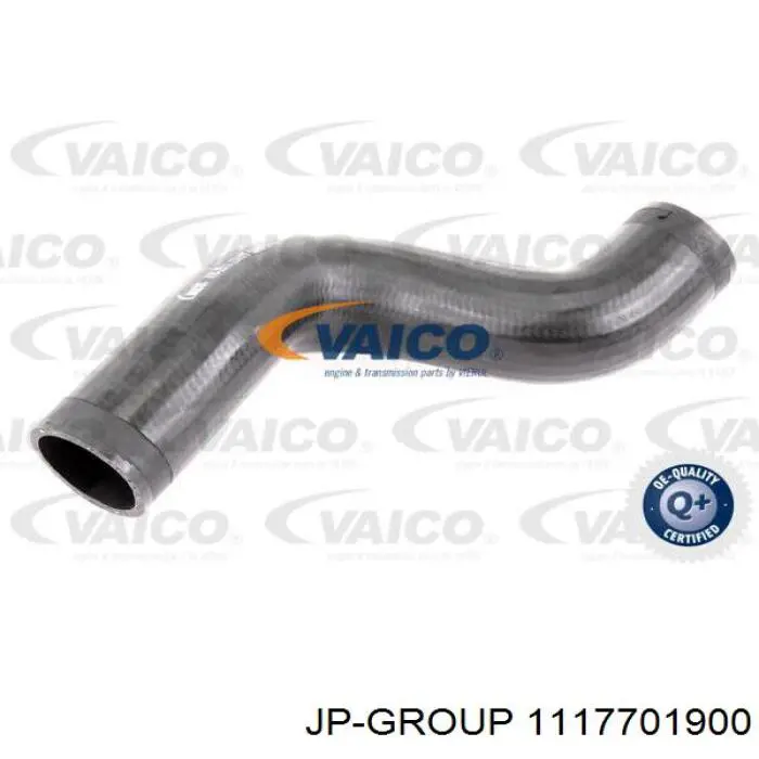 1117701900 JP Group tubo flexible de aire de sobrealimentación derecho