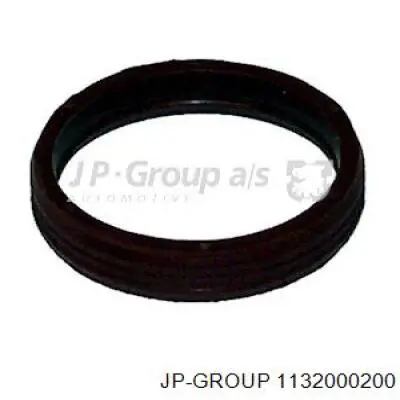 1132000200 JP Group anillo obturador, filtro de transmisión automática