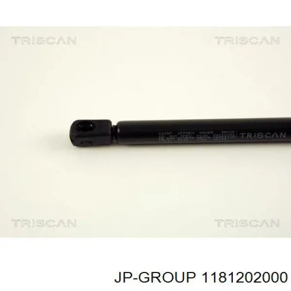 Comprar 1181202000 JP Group Amortiguador de puerta trasera
