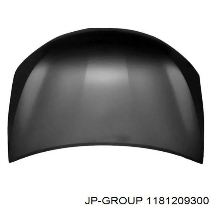 Comprar 1181209300 JP Group Amortiguador de puerta trasera