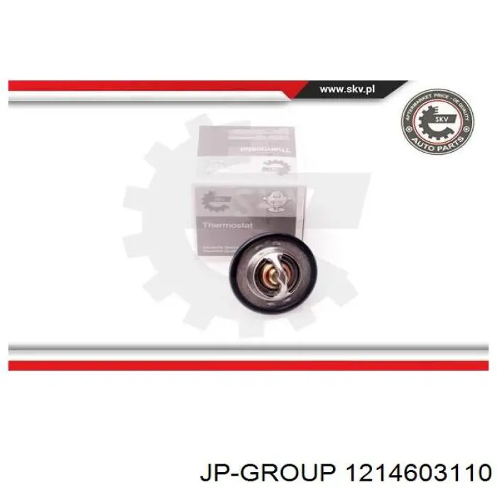 Termostato, refrigerante Renault Laguna 2 BG0, BG1