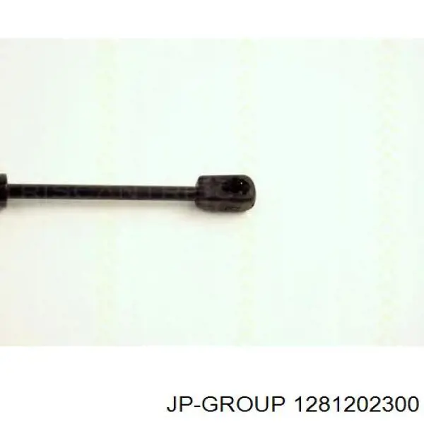 1281202300 JP Group amortiguador maletero