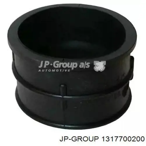 1317700200 JP Group tubo flexible de aire de sobrealimentación derecho