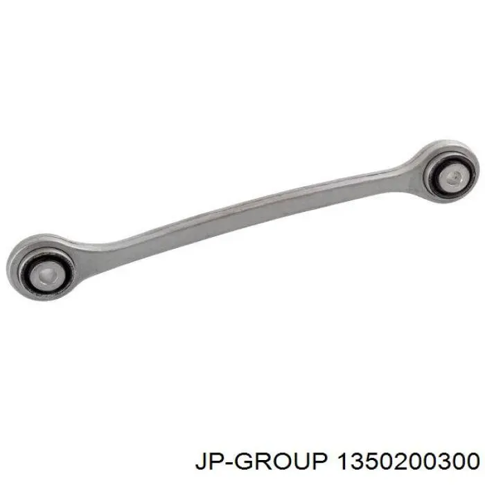 1350200300 JP Group brazo suspension inferior trasero izquierdo/derecho
