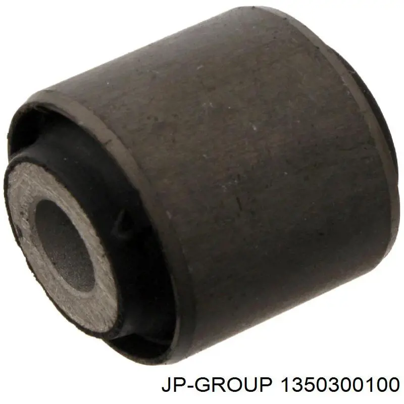 1350300100 JP Group silentblock de brazo de suspensión trasero superior