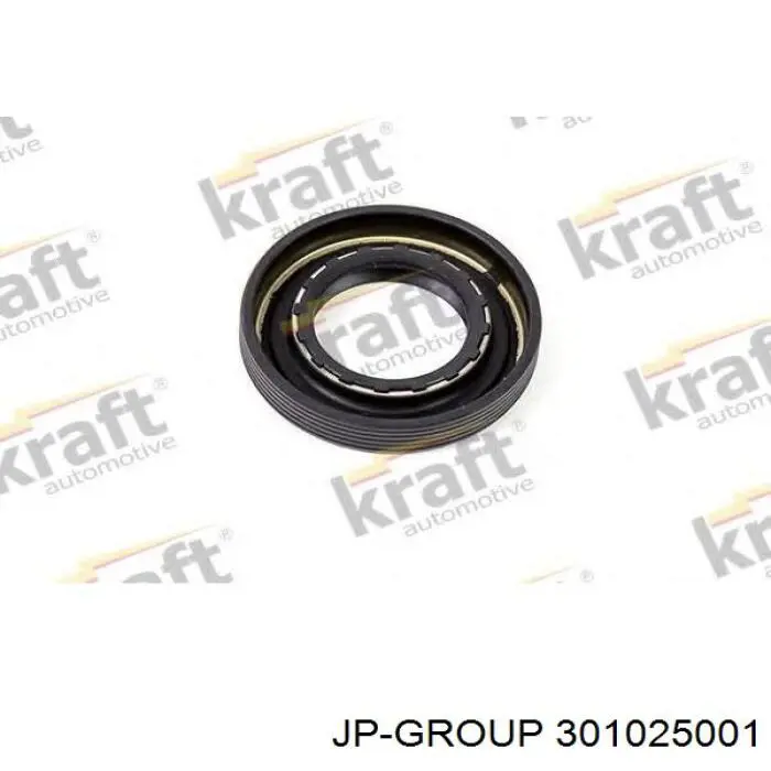 301025001 JP Group