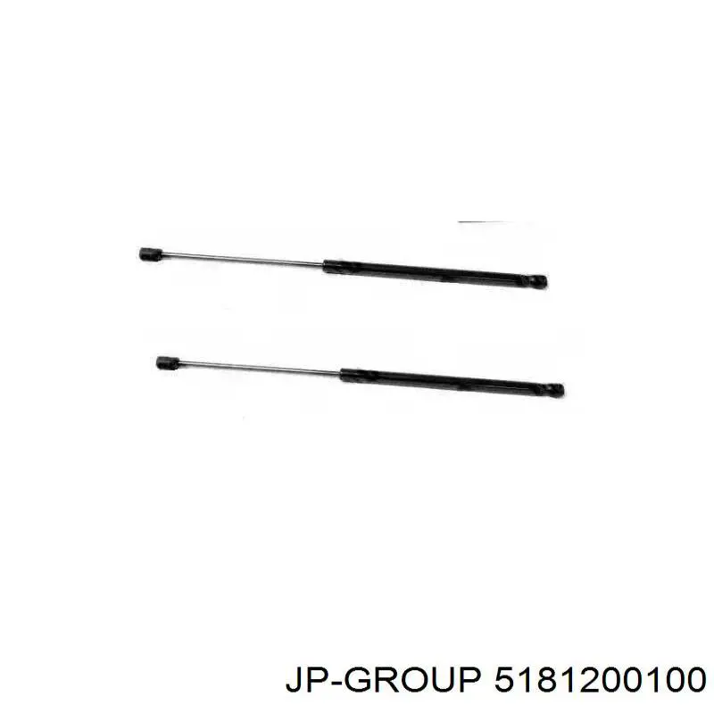 Comprar 5181200100 JP Group Amortiguador de puerta trasera