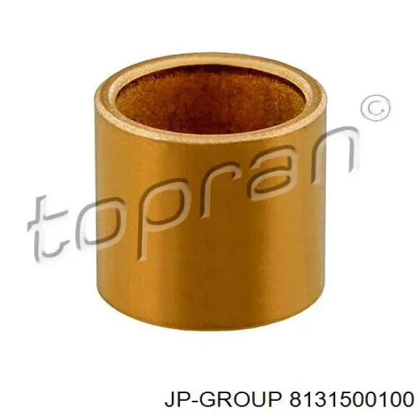 8131500100 JP Group