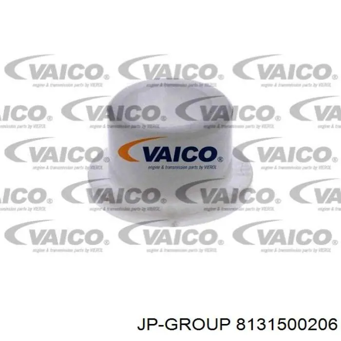 8131500206 JP Group