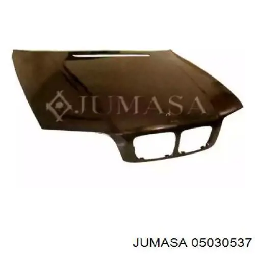 Comprar 41617016417 BMW Capó