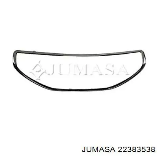Moldura de la rejilla del radiador Phira 20812115 precio, desde 65,98 EUR
