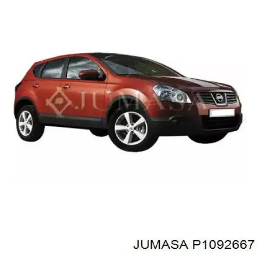 Moldura de parabrisas Nissan Qashqai I SUV (J10) (2006 - 2013) precio, desde 13,88 EUR
